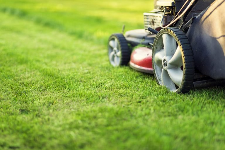 lawn-mowing